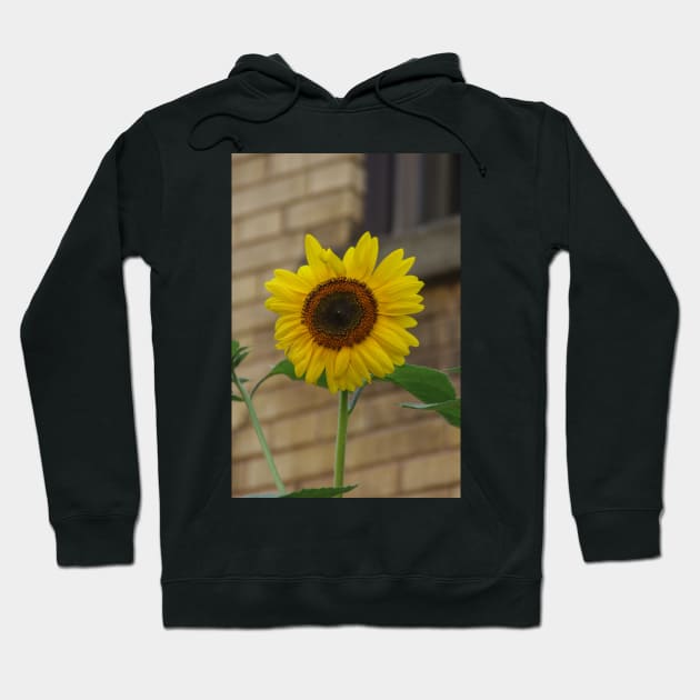 Sunflower days of summer Hoodie by srosu